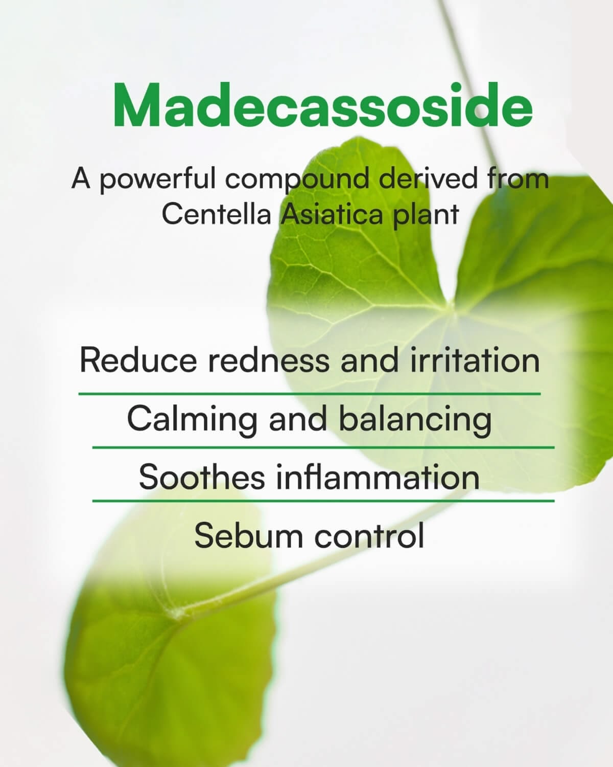 Madecassoside: Kandungan Skincare yang Bikin Kulit Calming